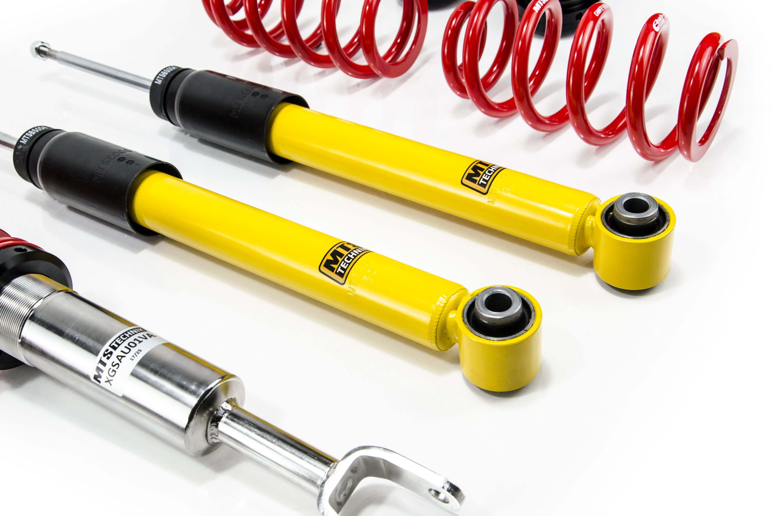 Combinés Filetés MTS Technik Audi A4 B6 (8E) — Finition Inox — vue 5 [Inox]
