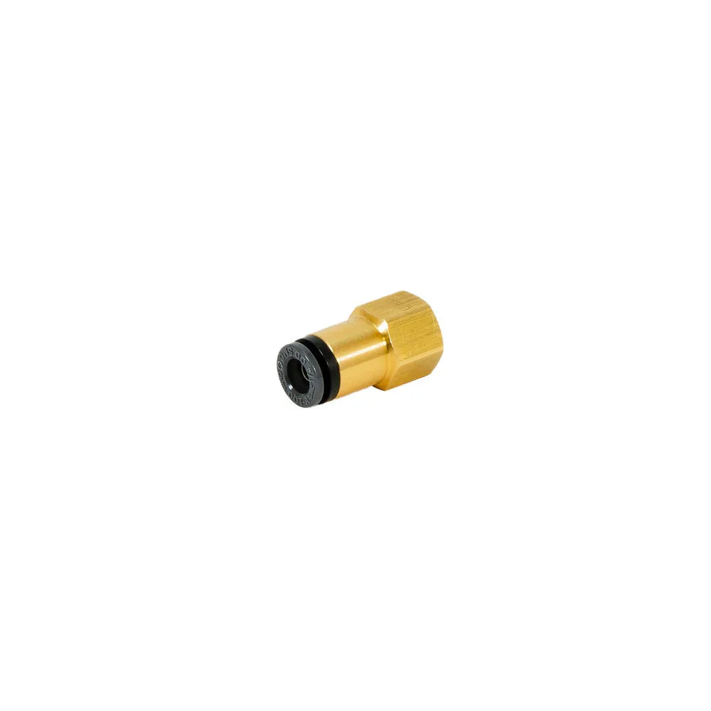 Air Lift 21667 - 1/8" NPT Femelle | 1/4" Push-in