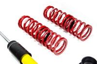 Gängade kombinationer MTS - stance Audi TT 8J Quattro + camberplatta