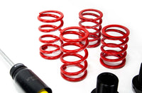 Combinati filettati MTS - street Audi 100 C3 (con coppe regolabili)