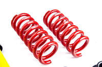 MTS Gewindefahrwerk - Straße BMW E21