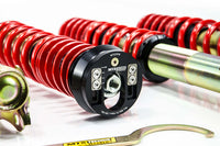 Combinados roscados MTS - Volkswagen Vento (1H) calle 1991-1998 con placas de caída