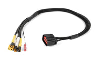 Maxload P1 Pro Manifold Harness