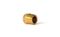 Brass Hex Plug