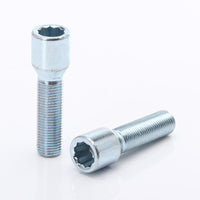 Vis de Roue Longues Argentées à Empreinte Interne M14x1,5 (Pack de 10)